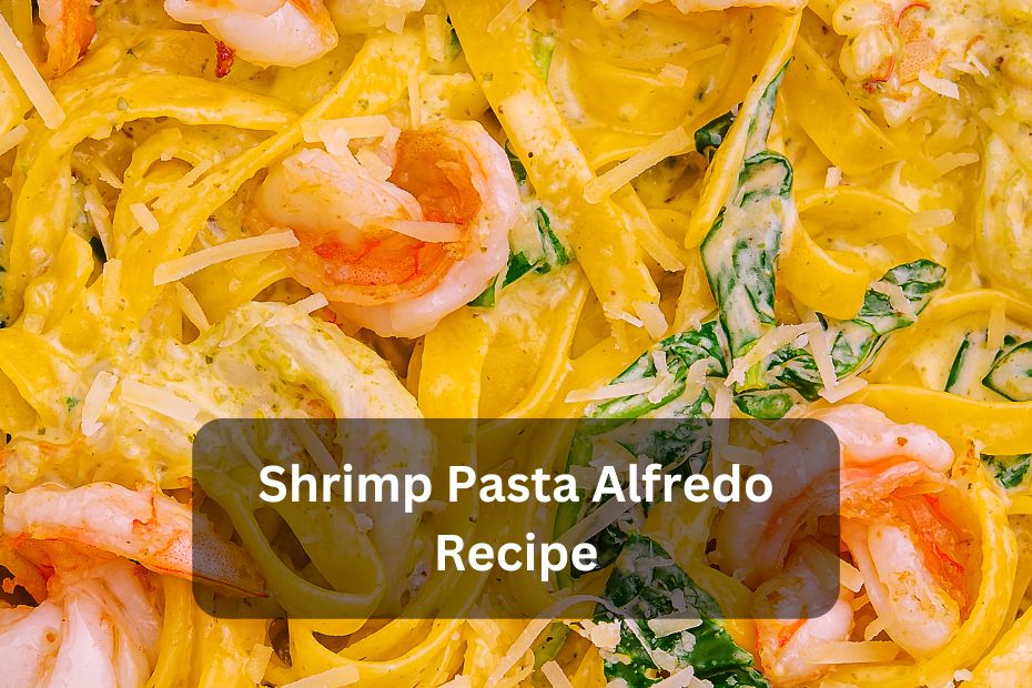 Shrimp Pasta Alfredo Recipe